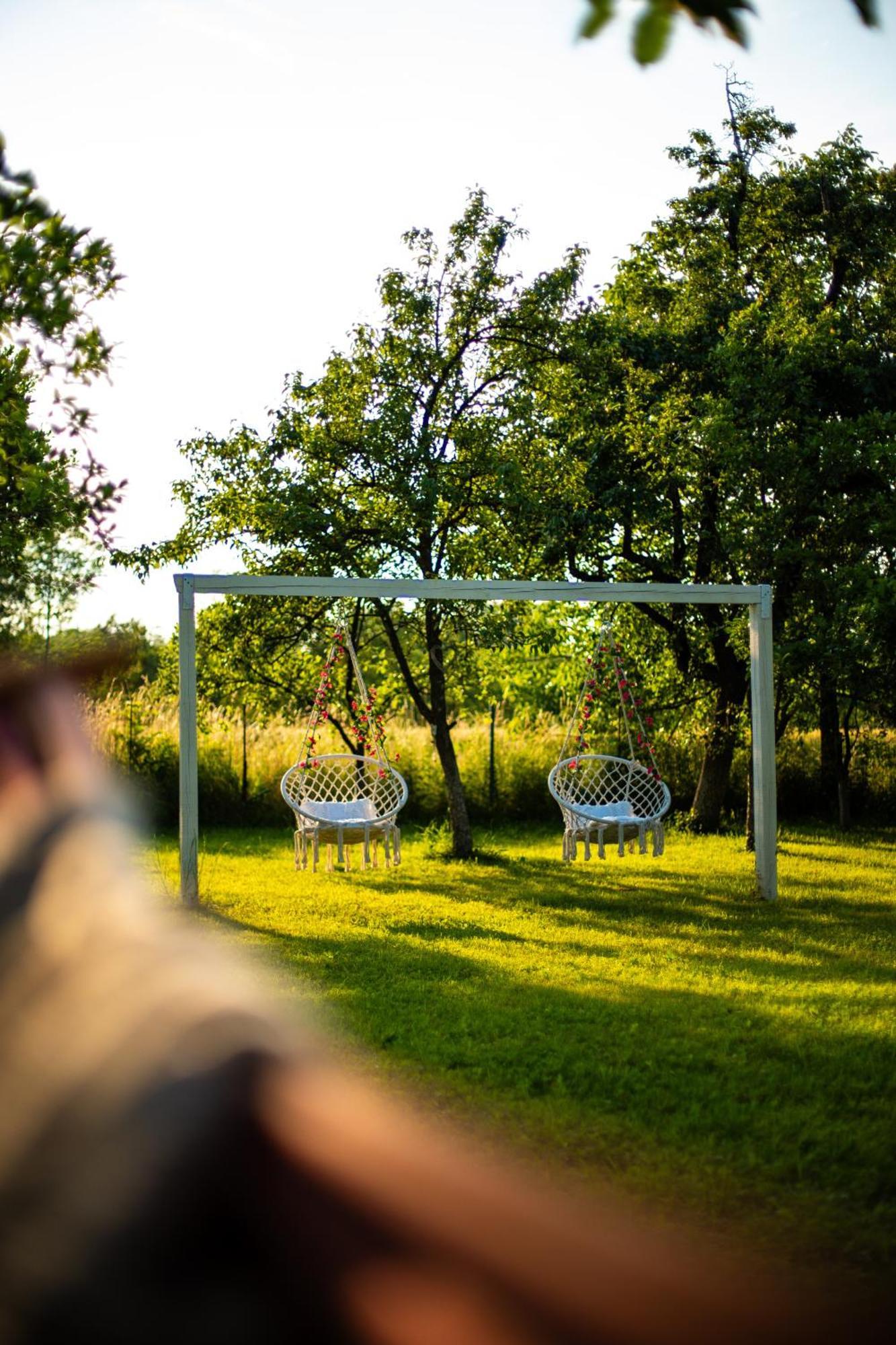 Green Garden Glamping Retezat Bălan Exterior foto